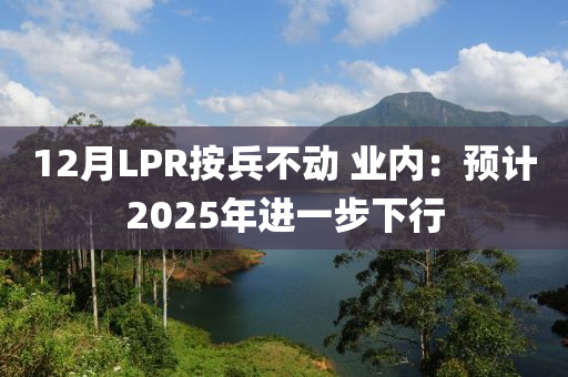 12月LPR按兵不動 業(yè)內：預計液壓動力機械,元件制造2025年進一步下行