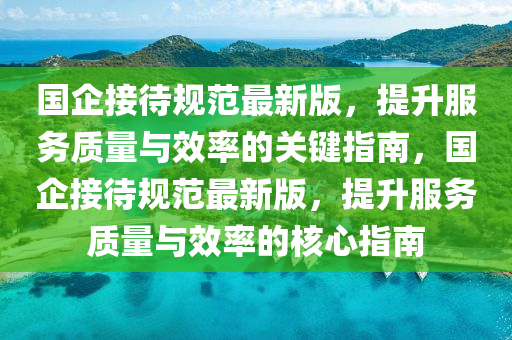 國(guó)企接待規(guī)范最新版，提升服務(wù)質(zhì)量與效率的關(guān)鍵指南，國(guó)企接待規(guī)范最新版，提升服務(wù)質(zhì)量與效率的核心指南液壓動(dòng)力機(jī)械,元件制造
