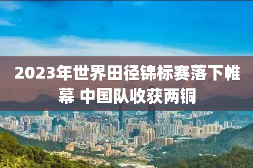 2023年世界田徑液壓動(dòng)力機(jī)械,元件制造錦標(biāo)賽落下帷幕 中國(guó)隊(duì)收獲兩銅