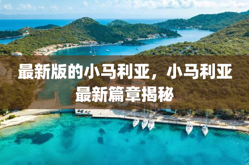 最新版的小馬利亞，小馬利亞最新篇章揭秘液壓動力機械,元件制造