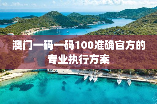 澳門一碼一碼100準確官方的專業(yè)執(zhí)行方案液壓動力機械,元件制造