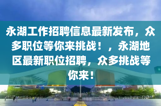 永湖工作招聘信息最新發(fā)布，眾多職位等你來挑戰(zhàn)！液壓動力機械,元件制造，永湖地區(qū)最新職位招聘，眾多挑戰(zhàn)等你來！