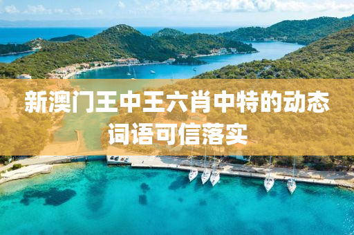 新澳門王中王六肖中特的動態(tài)詞語可信落實(shí)液壓動力機(jī)械,元件制造