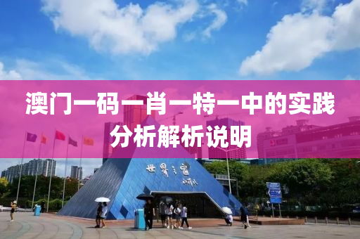 澳門一碼一肖一特一中的實(shí)踐分析解析說明液壓動(dòng)力機(jī)械,元件制造