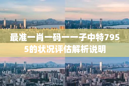 最準(zhǔn)一肖一碼一一子中特7955的狀況評估解析說明液壓動力機(jī)械,元件制造