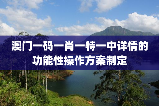 澳門一碼一肖一特一中詳情的功能性操作方案制定液壓動力機械,元件制造