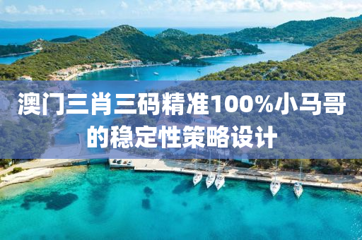 澳門三肖三碼精準(zhǔn)100%小馬哥的穩(wěn)定性策略設(shè)計液壓動力機械,元件制造