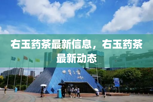 右玉藥茶最新信息，右玉藥茶最新動(dòng)態(tài)液壓動(dòng)力機(jī)械,元件制造