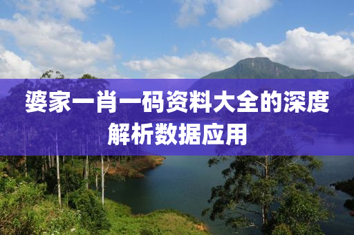 婆家一肖一碼資料大全的深度解析數(shù)據(jù)應(yīng)用液壓動力機械,元件制造