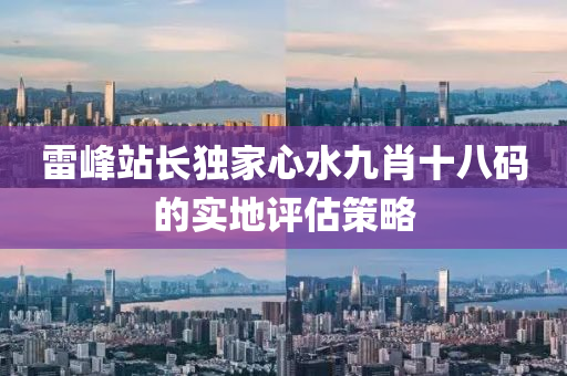 雷峰站長(zhǎng)獨(dú)家心水九肖十八碼的實(shí)地評(píng)估策略液壓動(dòng)力機(jī)械,元件制造