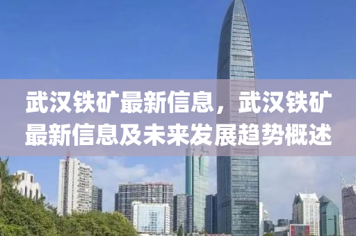 武漢鐵礦最新信息，武漢鐵礦最新信息及未來(lái)發(fā)展趨勢(shì)概述液壓動(dòng)力機(jī)械,元件制造
