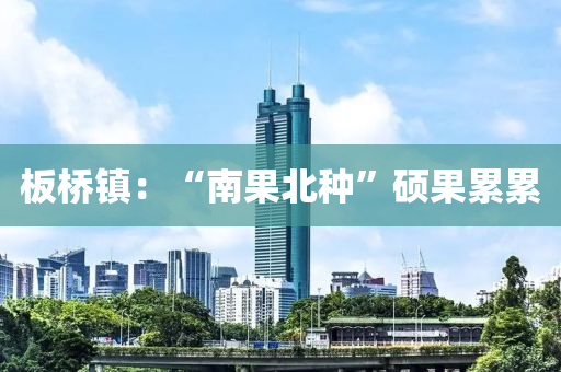 板橋鎮(zhèn)：液壓動力機械,元件制造“南果北種”碩果累累