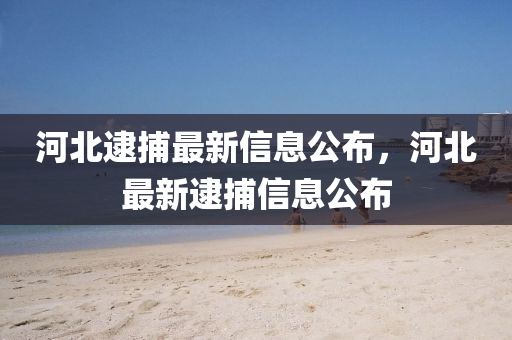 河北逮捕最新信息公布，河北最新逮捕信息公布液壓動(dòng)力機(jī)械,元件制造