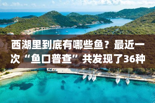 西湖里到底有哪些魚(yú)？最近一次“魚(yú)口普查”共發(fā)現(xiàn)了36種液壓動(dòng)力機(jī)械,元件制造