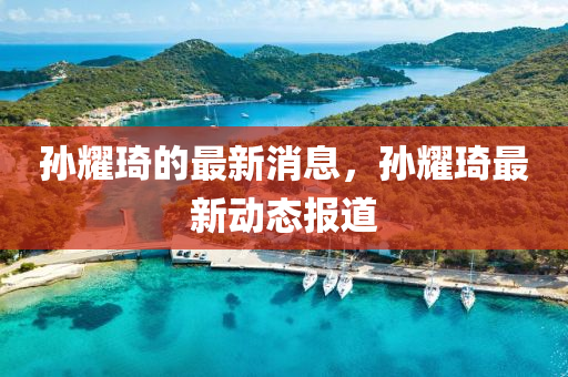 孫耀琦的最新消息，孫耀琦最新動態(tài)報道液壓動力機械,元件制造