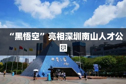 “黑悟空”亮相深圳南山人才公液壓動力機械,元件制造園