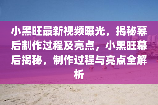 小黑旺最新視頻曝光，揭秘幕后制作過程及亮點(diǎn)，小黑旺幕后揭秘，制作過程與亮點(diǎn)全解析液壓動(dòng)力機(jī)械,元件制造