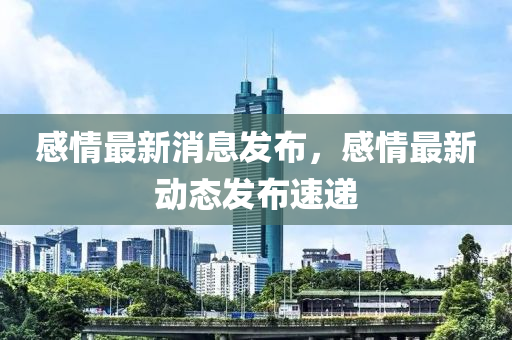 感情最新消息發(fā)布，感情最新動態(tài)發(fā)布速遞
