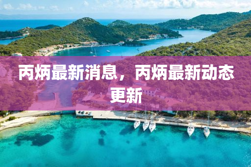 丙炳最新消息，丙炳最新動態(tài)更新