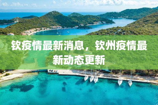 欽疫情最新消息，欽州疫情最新動(dòng)態(tài)更新