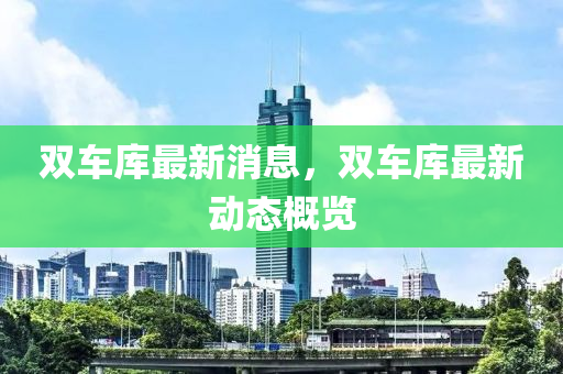 雙車(chē)庫(kù)最新消息，雙車(chē)庫(kù)最新動(dòng)態(tài)概覽