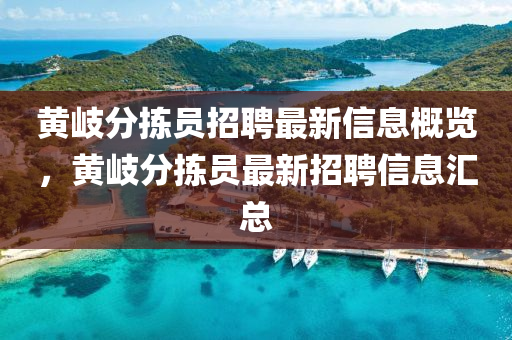 黃岐分揀員招聘最新信息概覽，黃岐分揀員最新招聘信息匯總