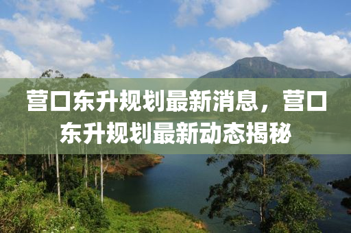 營口東升規(guī)劃最新消息，營口東升規(guī)劃最新動態(tài)揭秘