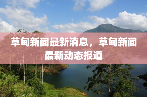 草甸新聞最新消息，草甸新聞最新動(dòng)態(tài)報(bào)道