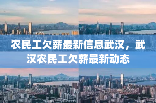 農(nóng)民工欠薪最新信息武漢，武漢農(nóng)民工欠薪最新動態(tài)