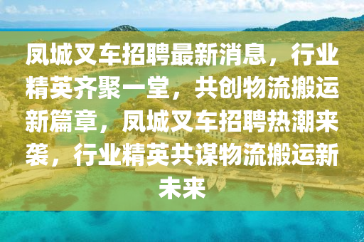 鳳城叉車招聘最新消息，行業(yè)精英齊聚一堂，共創(chuàng)物流搬運新篇章，鳳城叉車招聘熱潮來襲，行業(yè)精英共謀物流搬運新未來