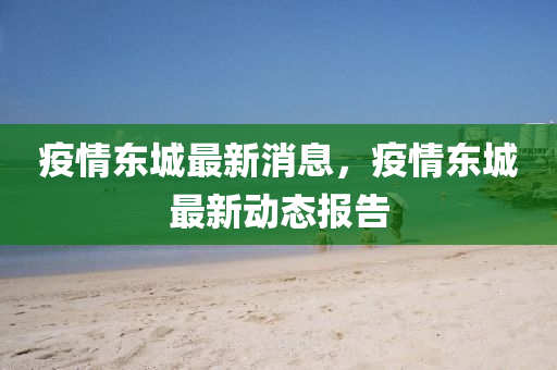 疫情東城最新消息，疫情東城最新動態(tài)報告